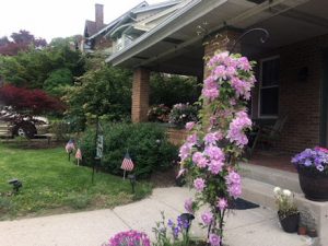 Image: Flowers blooming in the front yard of Linda Barnicott.