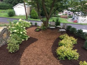 A photo of Linda Barnicott's newly re-designed backyard.