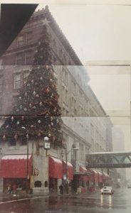 This is an image taken by Linda Barnicott in the early 1990s of Horne's Tree in Downtown Pittsburgh.